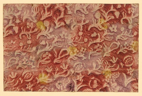 Živali so imele ključno vlogo v francoski vojski med prvo svetovno vojno, trdi zgodovinar