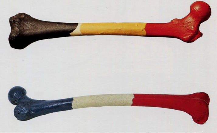 Teroristi pred napadom na Rdečo trdnjavo načrtovali napade z droni po zgledu Hamasa