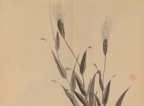 Marieke Westenenk po treh tednih na samotnem otoku presenetila sama sebe