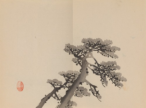 Policija preiskuje nove obtožbe o spolnem napadu zoper Seana 'Diddyja' Combsa