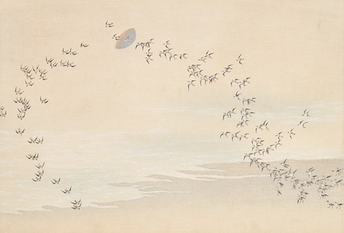 Profesorji in starši vložili kazensko ovadbo proti direktorju gimnazije v Novem Sadu