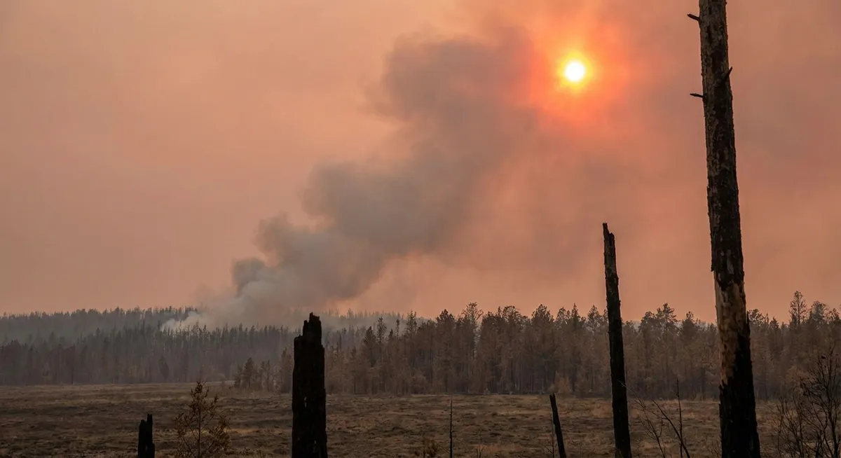 Slika je umetno generirana iz tem: meteorologija, podnebne spremembe, vročinski valovi