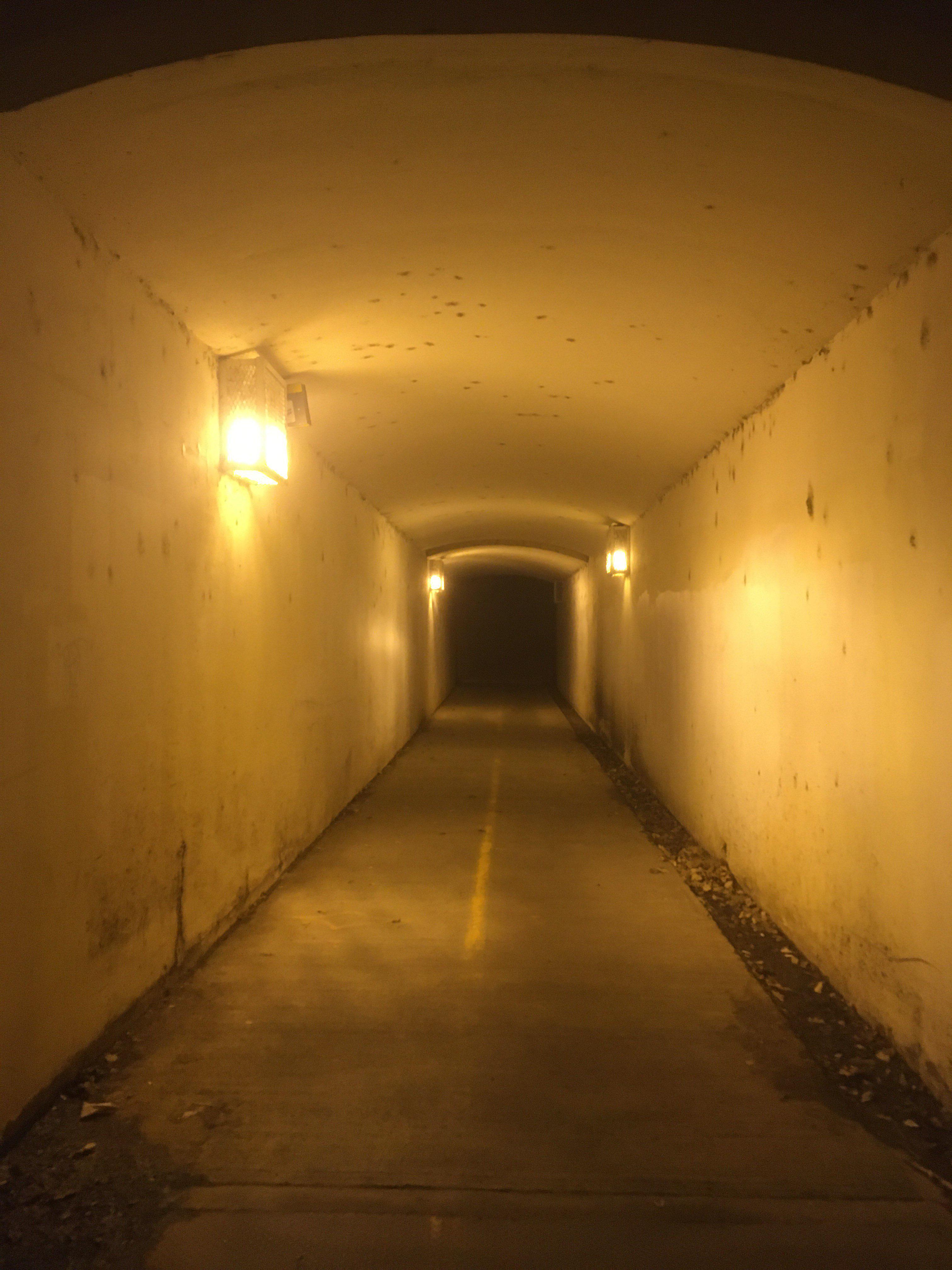 BBC se bo odločno uprl morebitni Trumpovi tožbi zaradi obrekovanja