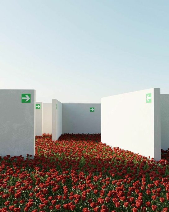 Dežela pričakuje snežne padavine v prihodnjih dneh