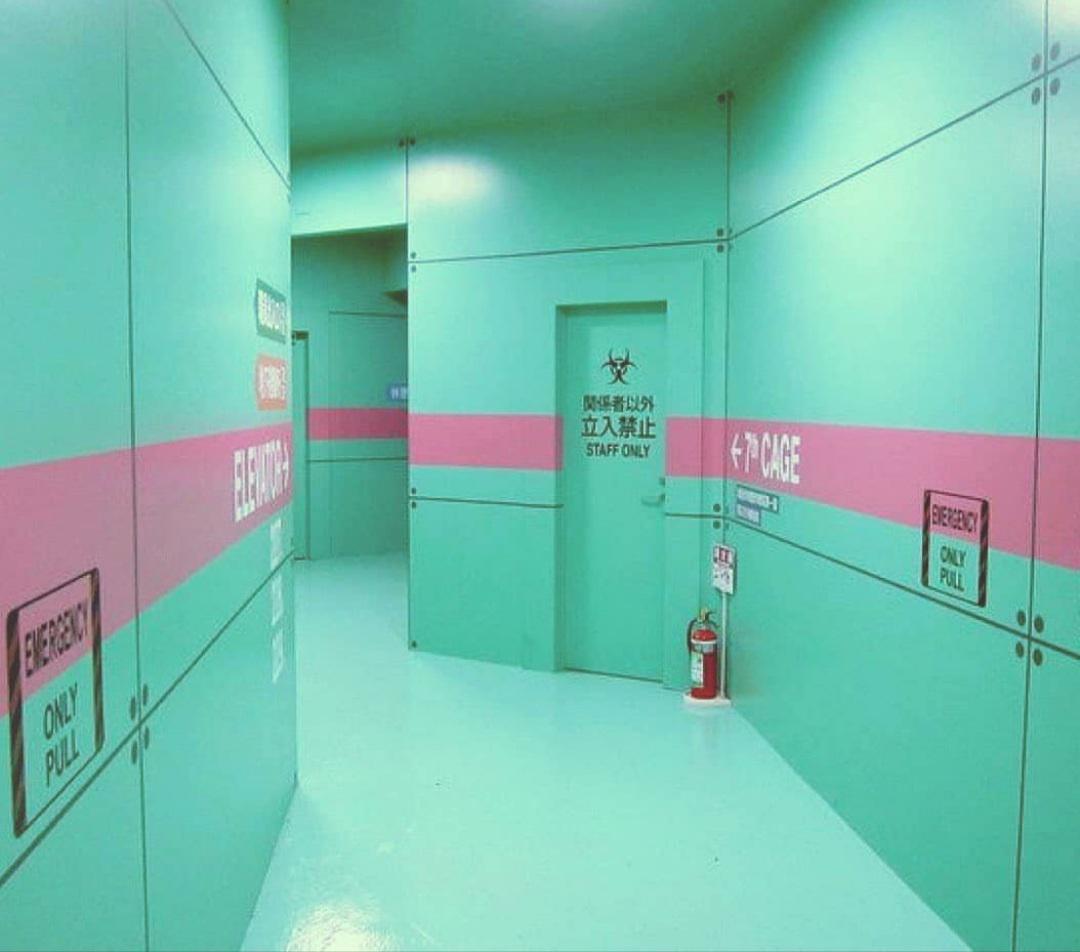 Na SBS 6 prihaja nova resničnostna oddaja z znanimi Nizozemci, ki bodo morali blefirati, lagati in goljufati