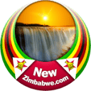 newzimbabwe.com